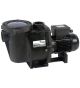 Pentair Whisperflo zwembadpomp 2,2kW 29,0m³ 220V - P-WFL-301
